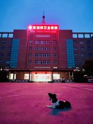 郑万全（29）：探索《人狗论》的生命与社会镜像